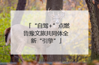 “自驾+”点燃鲁豫文旅共同体全新“引擎”
