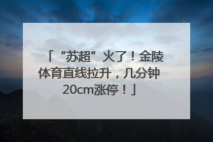 “苏超”火了！金陵体育直线拉升，几分钟20cm涨停！
