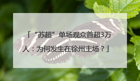“苏超”单场观众首超3万人：为何发生在徐州主场？