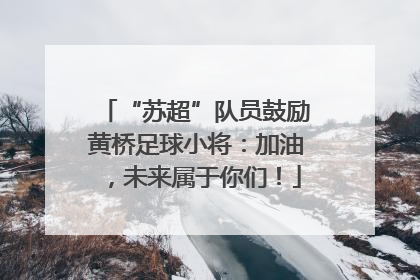 “苏超”队员鼓励黄桥足球小将：加油，未来属于你们！