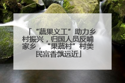 “蔬果义工”助力乡村振兴，归国人员反哺家乡，“果蔬村”村美民富香飘远近