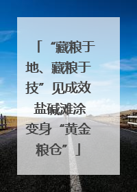 “藏粮于地、藏粮于技”见成效 盐碱滩涂变身“黄金粮仓”