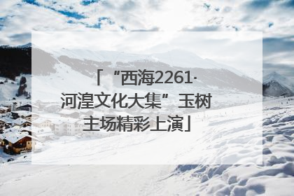 “西海2261·河湟文化大集”玉树主场精彩上演