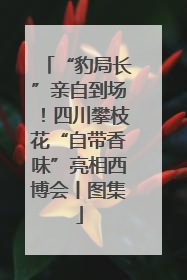 “豹局长”亲自到场！四川攀枝花“自带香味”亮相西博会丨图集
