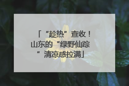 “趁热”查收！山东的“绿野仙踪”清凉感拉满