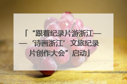 “跟着纪录片游浙江——‘诗画浙江’文旅纪录片创作大会”启动