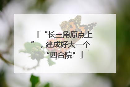 “长三角原点上”，建成好大一个“四合院”
