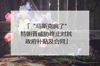 “马斯克疯了” 特朗普威胁终止对其政府补贴及合同