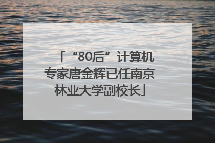 “80后”计算机专家唐金辉已任南京林业大学副校长