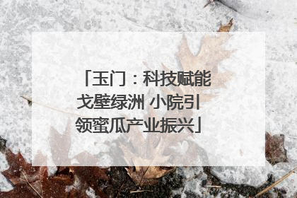 玉门：科技赋能戈壁绿洲 小院引领蜜瓜产业振兴