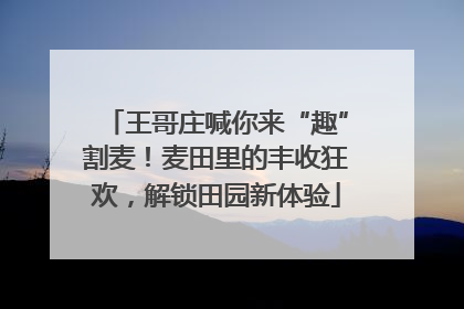 王哥庄喊你来“趣”割麦！麦田里的丰收狂欢，解锁田园新体验