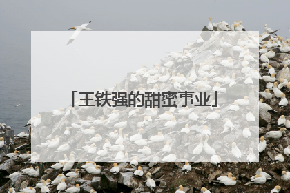 王铁强的甜蜜事业