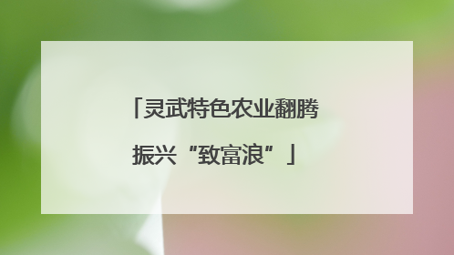 灵武特色农业翻腾振兴“致富浪”