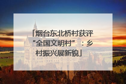 烟台东北桥村获评“全国文明村”：乡村振兴展新貌