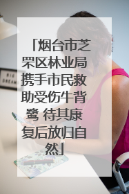 烟台市芝罘区林业局携手市民救助受伤牛背鹭 待其康复后放归自然