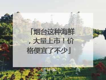 烟台这种海鲜，大量上市！价格便宜了不少
