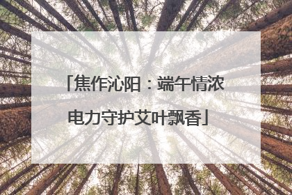 焦作沁阳：端午情浓 电力守护艾叶飘香