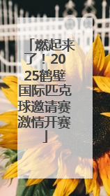 燃起来了！2025鹤壁国际匹克球邀请赛激情开赛
