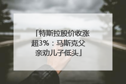 特斯拉股价收涨超3%：马斯克父亲劝儿子低头
