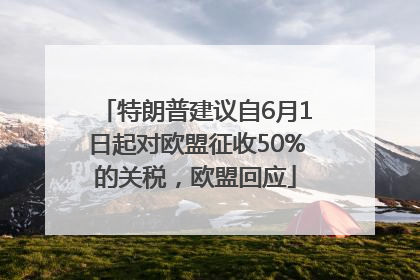 特朗普建议自6月1日起对欧盟征收50%的关税，欧盟回应