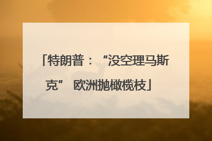 特朗普：“没空理马斯克” 欧洲抛橄榄枝