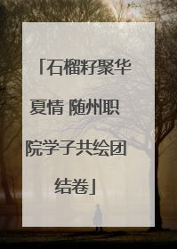 石榴籽聚华夏情 随州职院学子共绘团结卷
