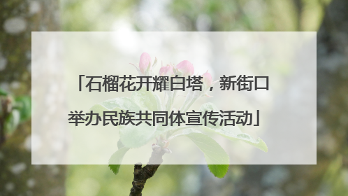 石榴花开耀白塔，新街口举办民族共同体宣传活动