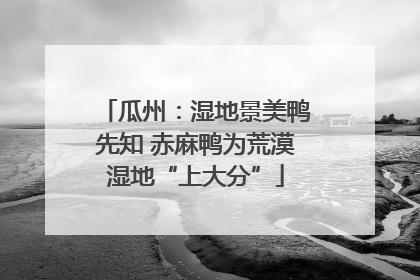 瓜州：湿地景美鸭先知 赤麻鸭为荒漠湿地“上大分”