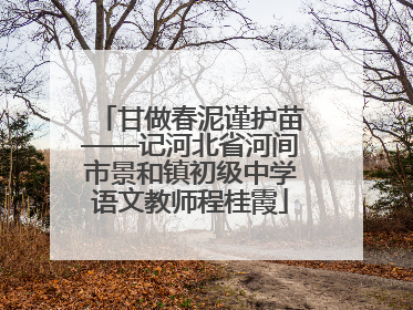甘做春泥谨护苗——记河北省河间市景和镇初级中学语文教师程桂霞