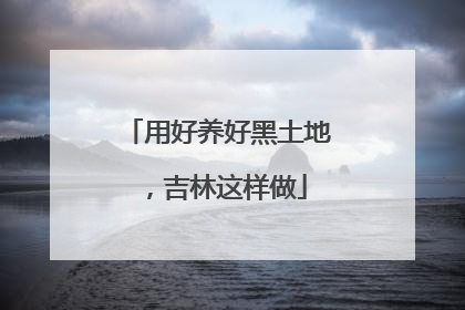 用好养好黑土地，吉林这样做