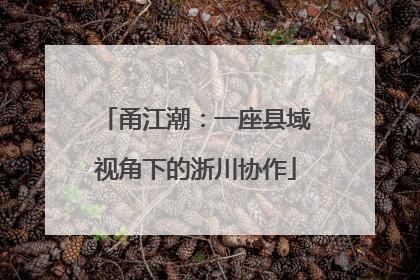 甬江潮：一座县域视角下的浙川协作