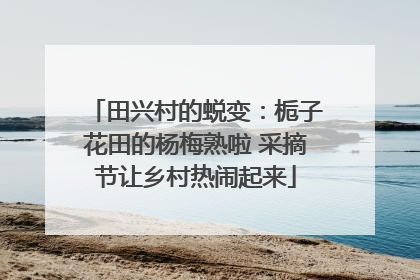 田兴村的蜕变：栀子花田的杨梅熟啦 采摘节让乡村热闹起来