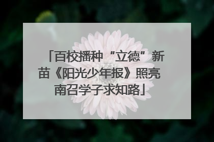 百校播种“立德”新苗《阳光少年报》照亮南召学子求知路