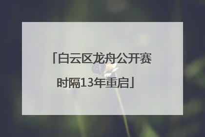 白云区龙舟公开赛时隔13年重启