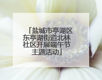 盐城市亭湖区东亭湖街道北林社区开展端午节主题活动