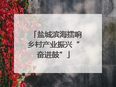 盐城滨海擂响乡村产业振兴“奋进鼓”