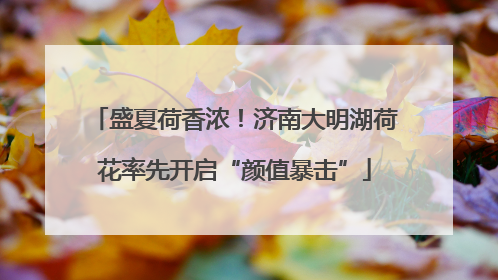 盛夏荷香浓！济南大明湖荷花率先开启“颜值暴击”
