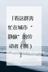 看这群奔忙在城市“静脉”的劳动者（图）
