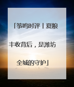 筝鸣时评丨夏粮丰收背后，是潍坊全城的守护