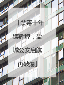 禁毒十年铸辉煌，盐城公安启航再破浪