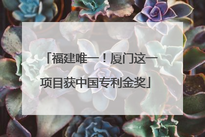 福建唯一！厦门这一项目获中国专利金奖