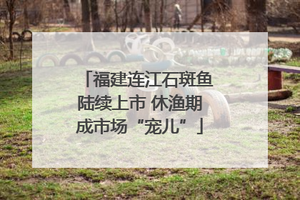 福建连江石斑鱼陆续上市 休渔期成市场“宠儿”