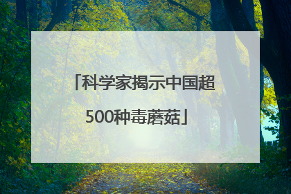 科学家揭示中国超500种毒蘑菇