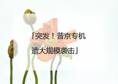 突发！普京专机遭大规模袭击