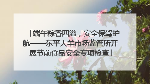 端午粽香四溢，安全保驾护航——东平大羊市场监管所开展节前食品安全专项检查