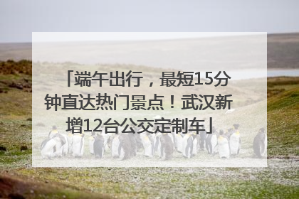 端午出行，最短15分钟直达热门景点！武汉新增12台公交定制车