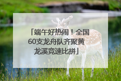 端午好热闹！全国60支龙舟队齐聚黄龙溪竞速比拼