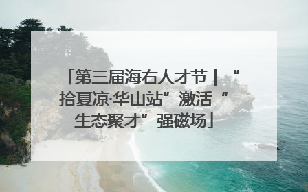 第三届海右人才节｜“拾夏凉·华山站”激活“生态聚才”强磁场