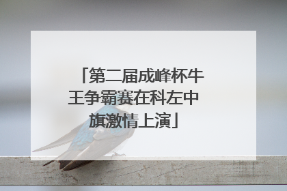 第二届成峰杯牛王争霸赛在科左中旗激情上演