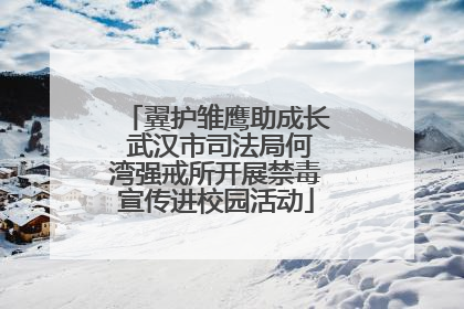 翼护雏鹰助成长 武汉市司法局何湾强戒所开展禁毒宣传进校园活动
